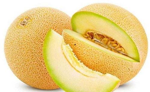 老八吃哈密瓜,一场味蕾的旅行