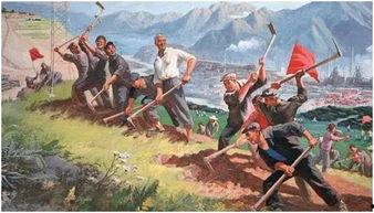 吃瓜小丛林,揭秘娱乐圈背后的秘密与真相