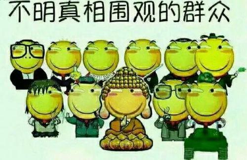 吃瓜群众龙卡cp,瓜田里的甜蜜邂逅