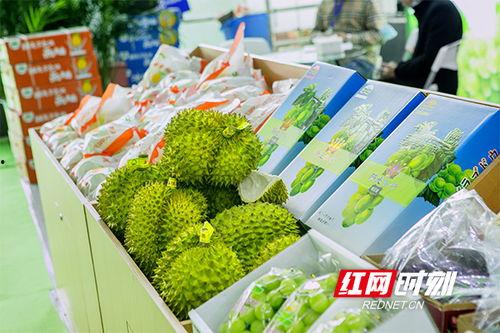 长沙吃瓜视频大全,一网打尽本地美食风潮