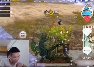 捕捉旭旭吃瓜,揭秘娱乐圈幕后真相