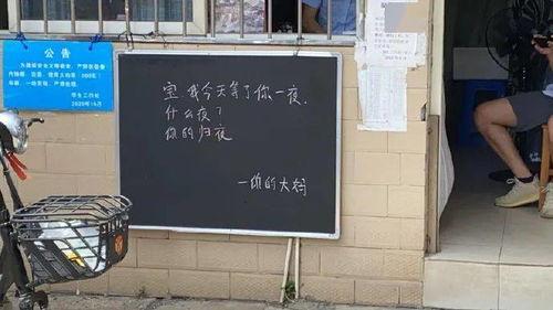 吃瓜宿管,揭秘校园里的神秘生活圈