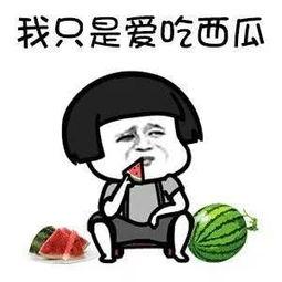 快乐吃瓜部落,揭秘网络红人的欢乐生活圈